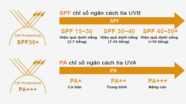 SPF có khả năng bảo vệ da trước tia UV