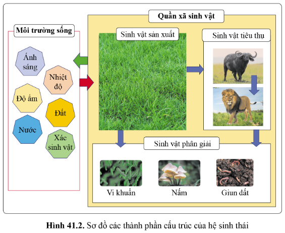 BÀI 41 - HỆ SINH THÁI