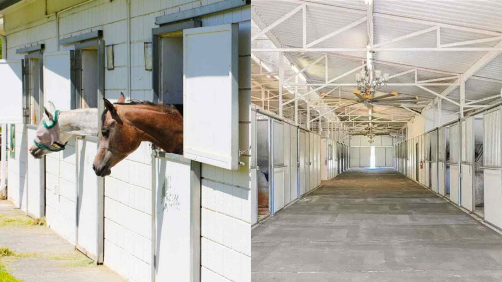 The Inside of the Stables
