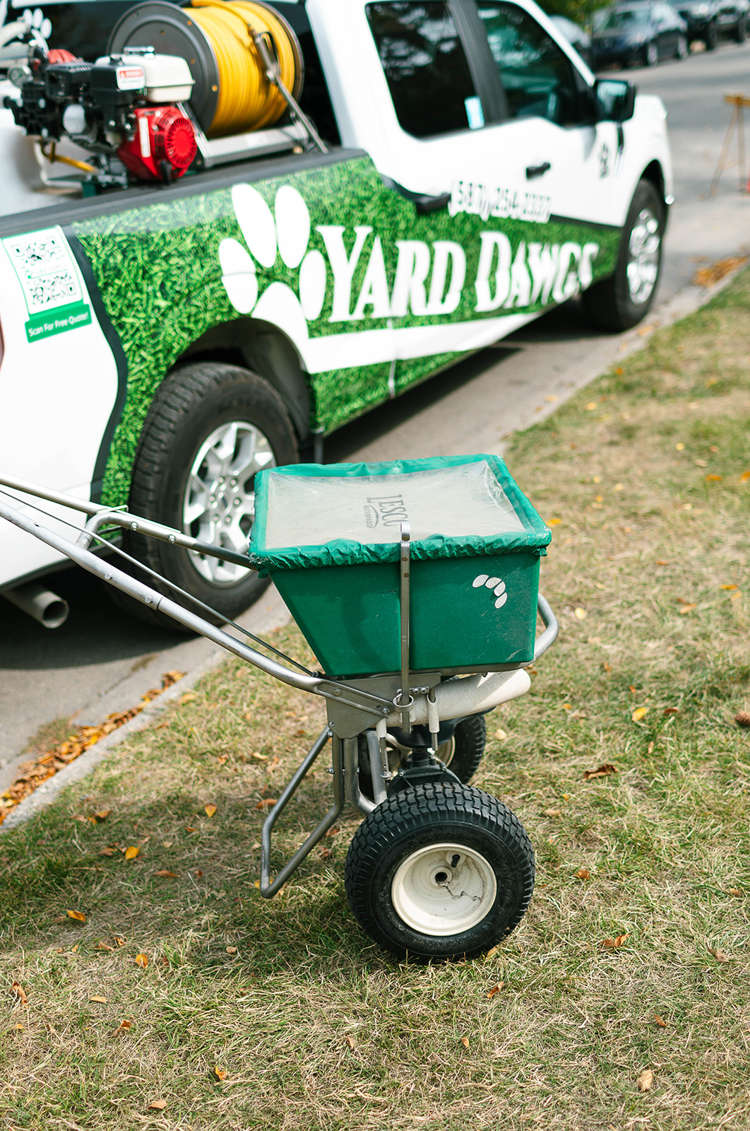 Benefits of Overseeding