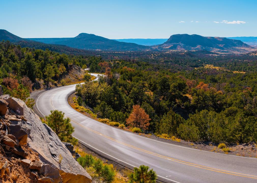 Autumn landscape in Cibola National Forest.