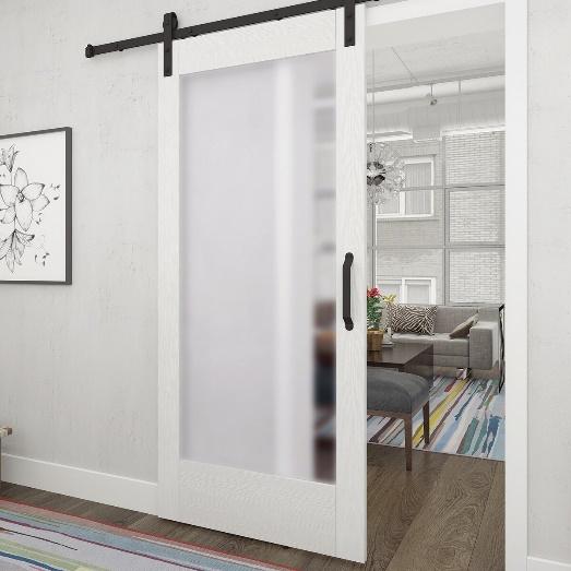 Renin Glass Barn Door without Installation Hardware Kit & Reviews | Wayfair