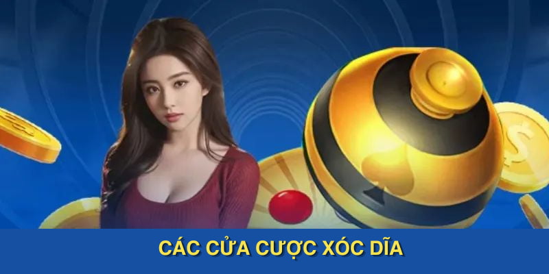 Các cửa cược Xóc Dĩa tại Kubet88