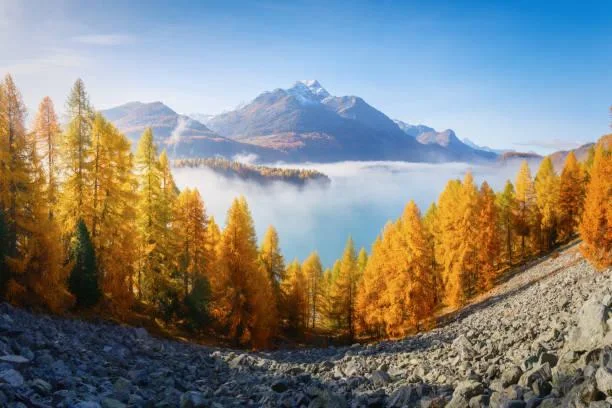 20 Landscapes with Perfect Light & Shadow Balance, balanced light, scenic contrast, nature, landscape, artistic nature, dynamic tones