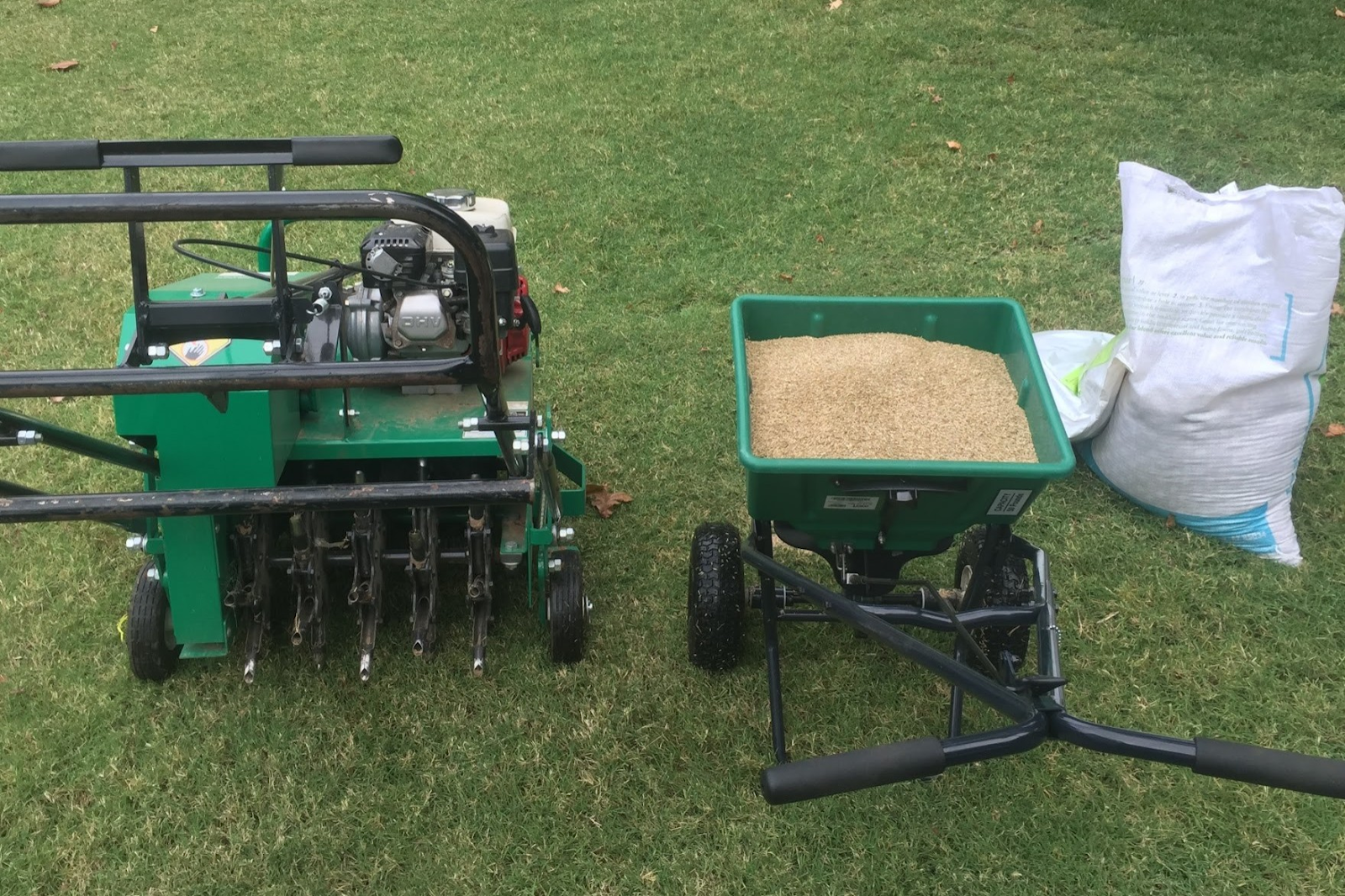 Aerate and Overseed the Lawn