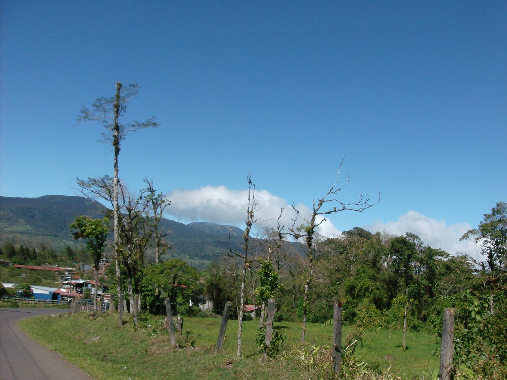 Road leading through greenery with mountains in distance.