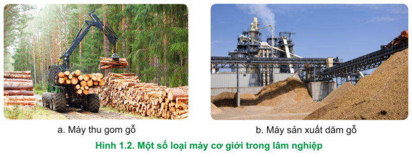 BÀI 1. VAI TRÒ VÀ TRIỂN VỌNG CỦA LÂM NGHIỆP