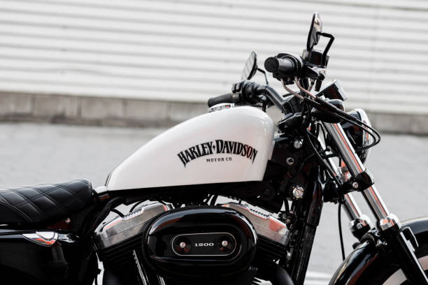 harley davidson frame types