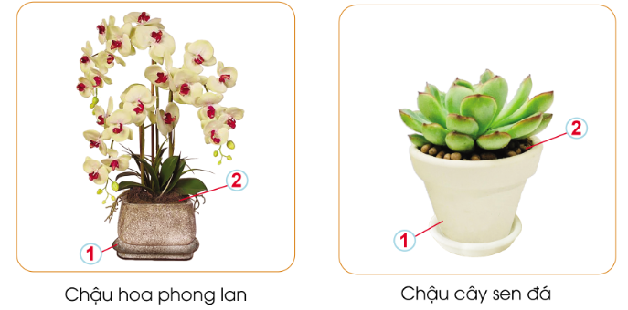 BÀI 4: CHẬU VÀ GIÁ THỂ TRỒNG HOA, CÂY CẢNH