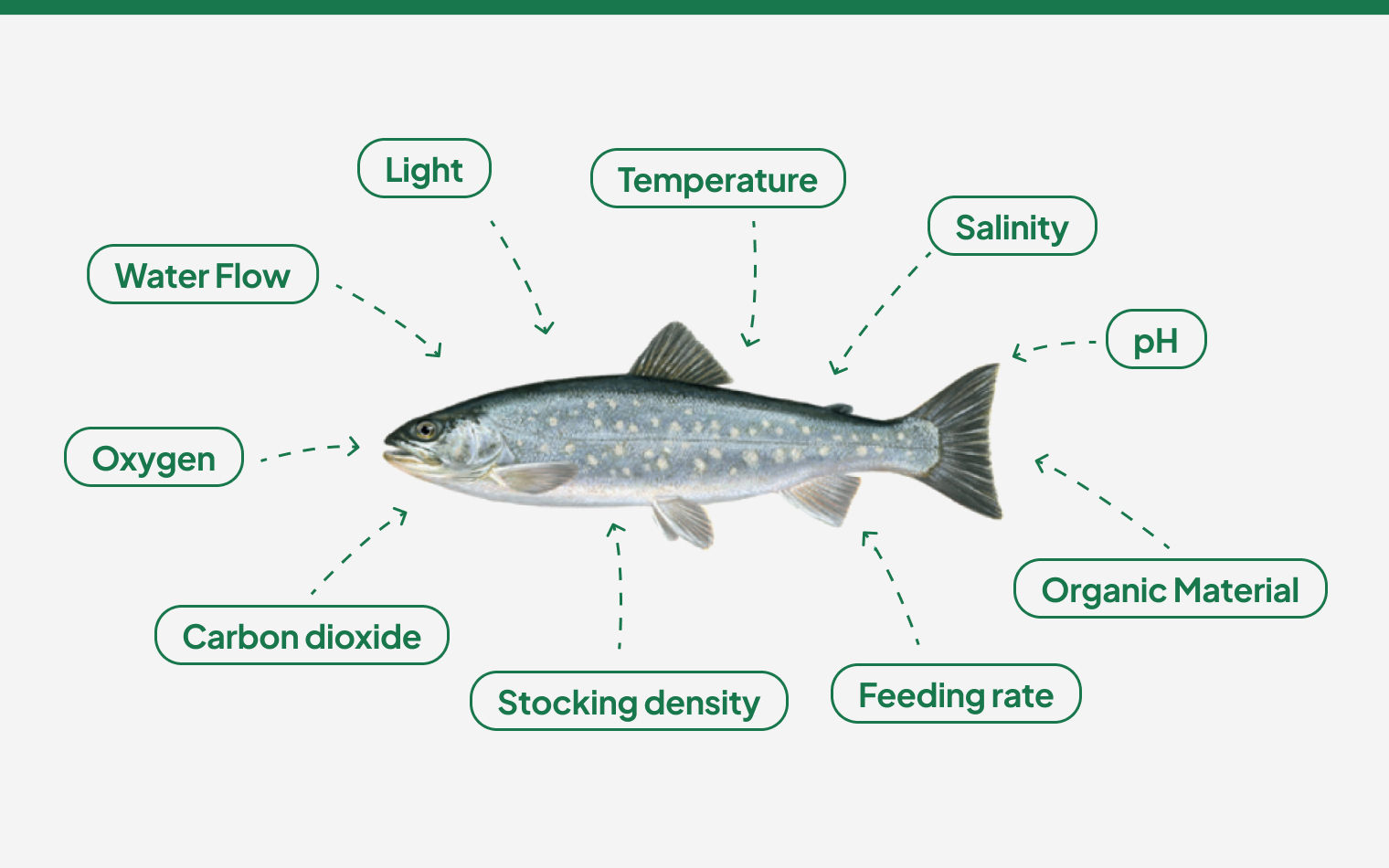 Environmental Parameters That Impact Fish Well-Being