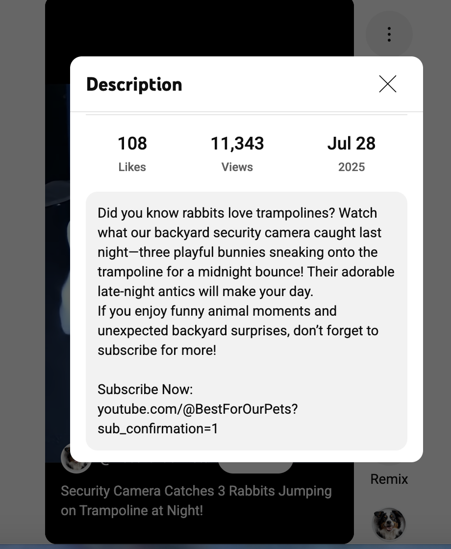 AI Bunnies on Trampoline Causing Crisis of Confidence on TikTok