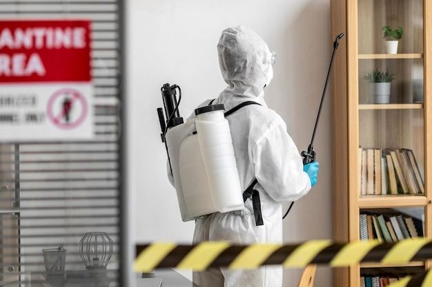 Mold removal professionals