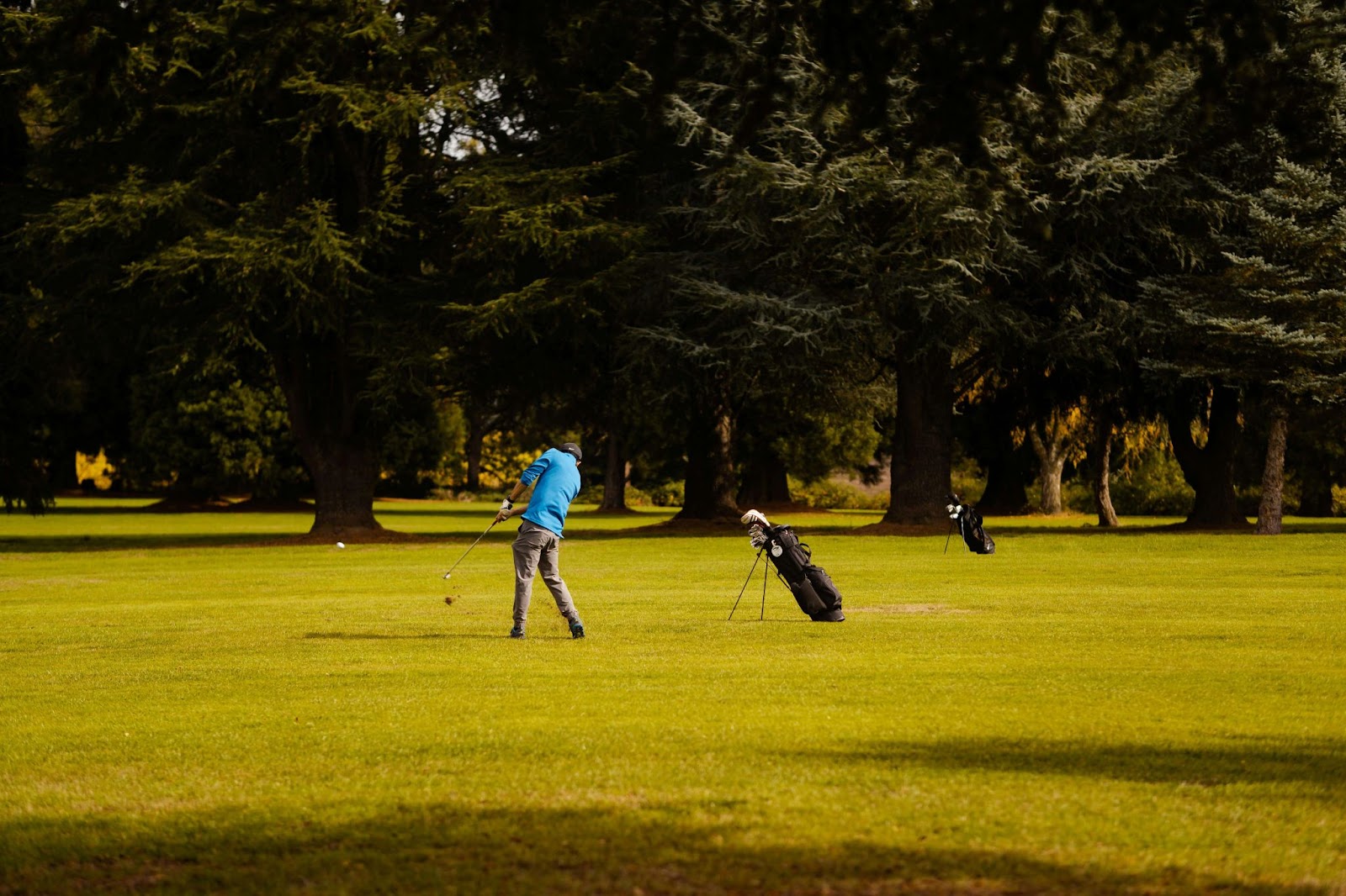 punch shot golf
