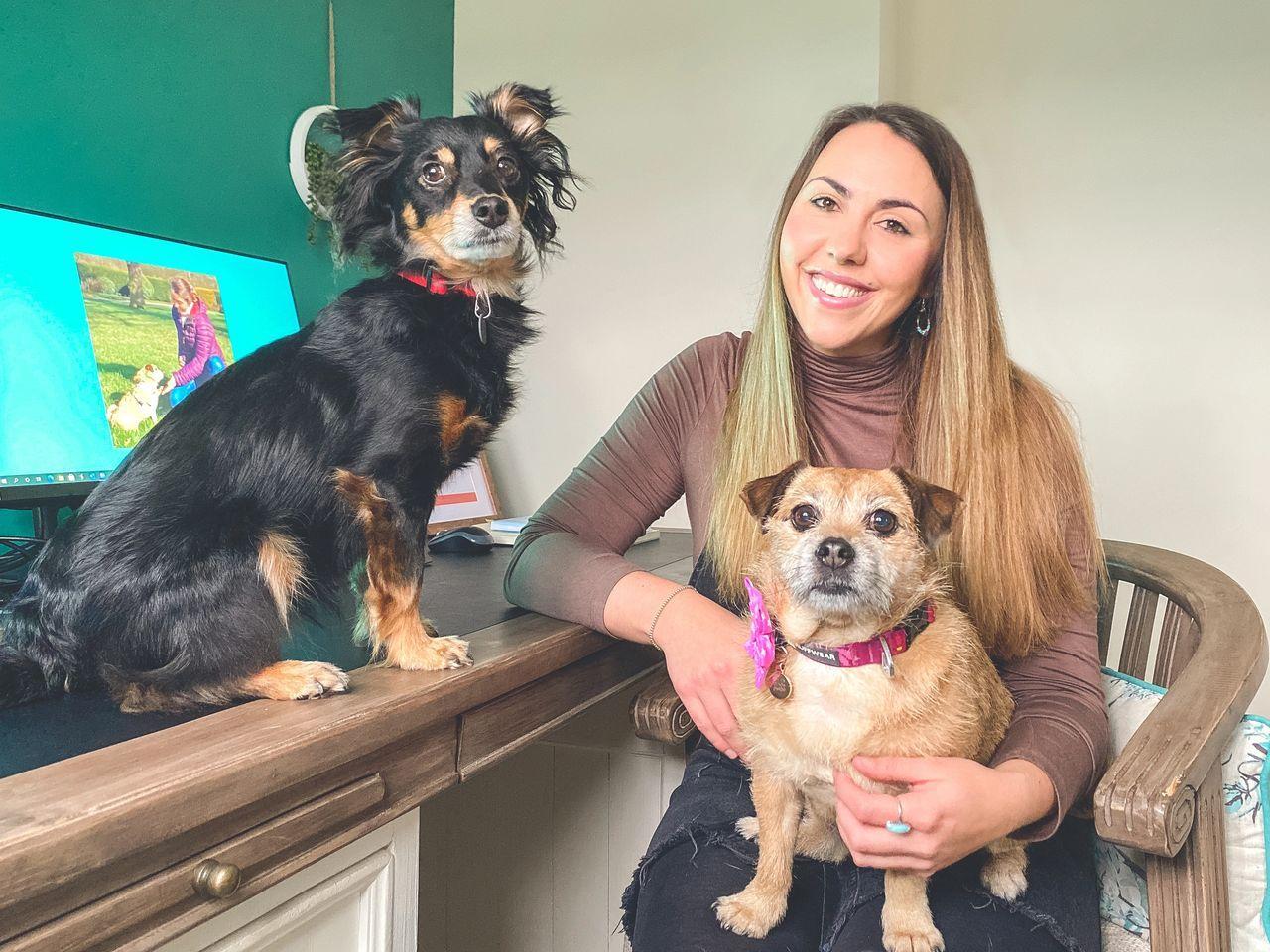 Rachel at a computer with dogs Rico and Maisy