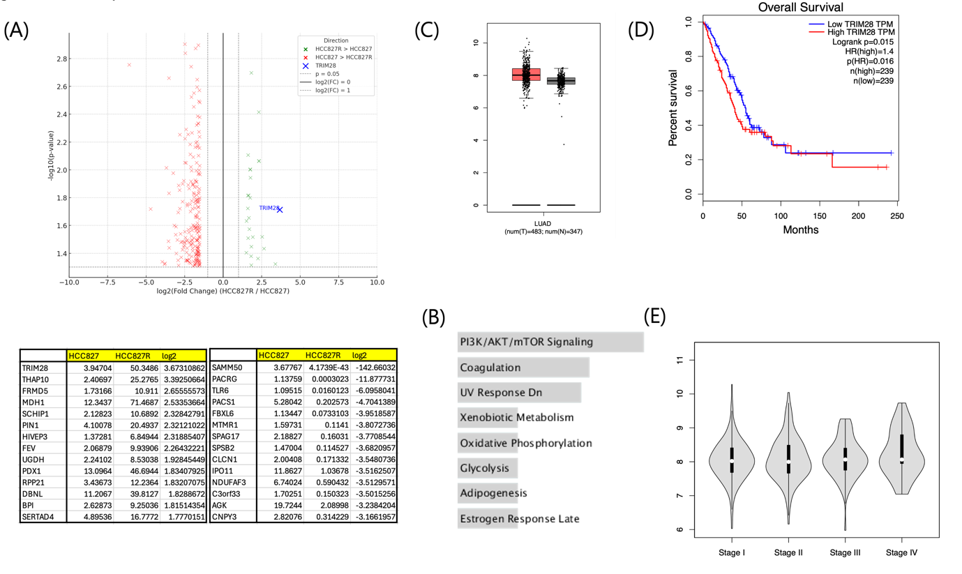 A collage of graphs and diagrams

AI-generated content may be incorrect.