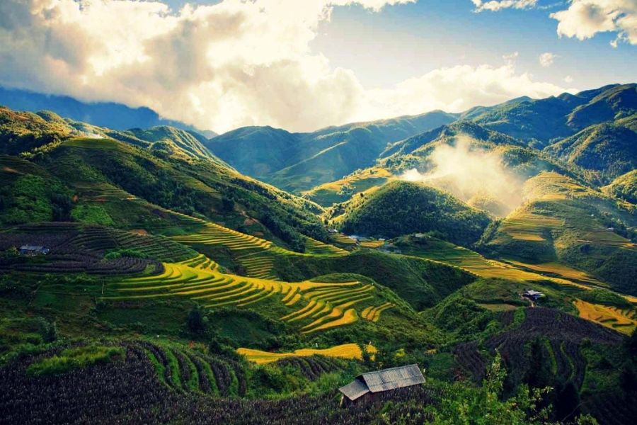 Muong Hoa Valley is the largest cultivated land in Sapa