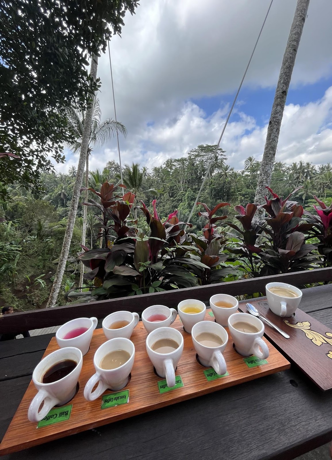 coffee tasting tray overlooking a forest 