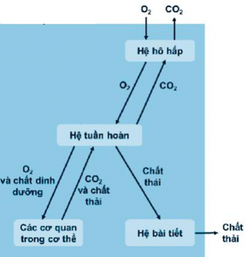 BÀI TẬP (CHỦ ĐỀ 7)