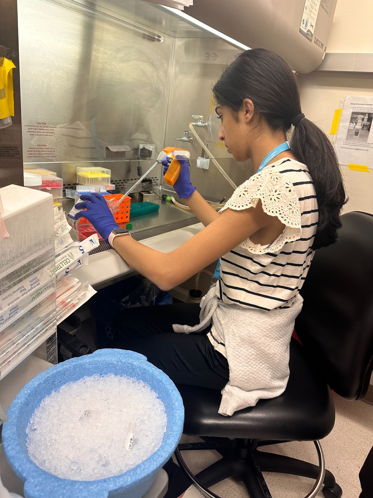 Leena Mirchandani ’25 worked in CHOP’s Muir Lab this summer, researching eosinophilic esophagitis, a chronic inflammatory disease of the esophagus. She excelled, mastering protocols and earning her colleagues’ trust.