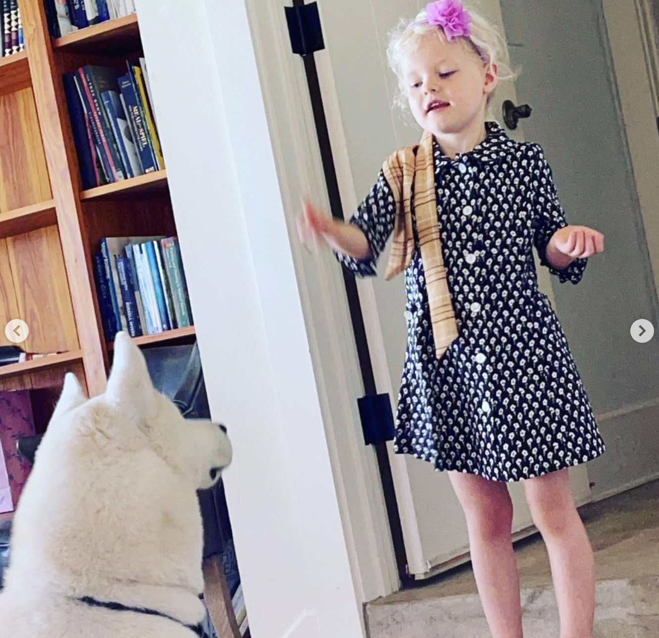 One of the Van Der Beek children playing with a dog in a post uploaded on June 7, 2021 | Source: Instagram/vanderkimberly