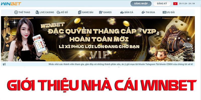 Giới thiệu sơ lược về nhà cái Win bet