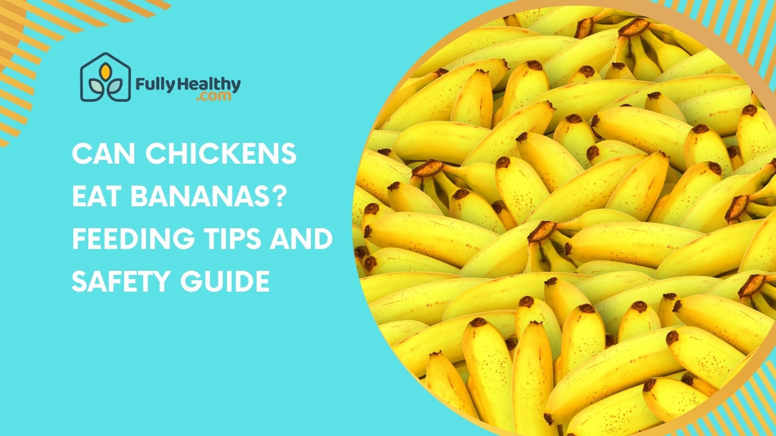 Can Chickens Eat Bananas? Feeding Tips and Safety Guide