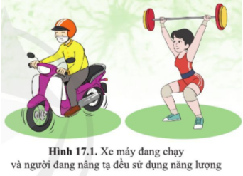 BÀI 17. VAI TRÒ CỦA TRAO ĐỔI CHẤT VÀ CHUYỂN HÓA NĂNG LƯỢNG Ở SINH VẬT 