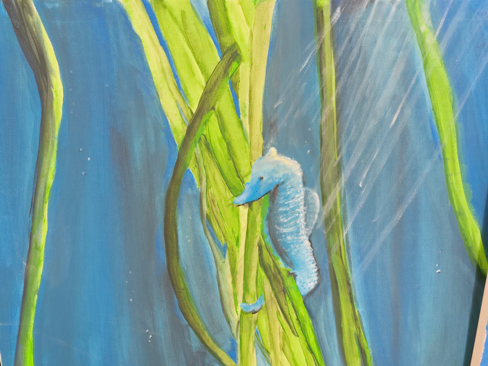 student panted seahorse