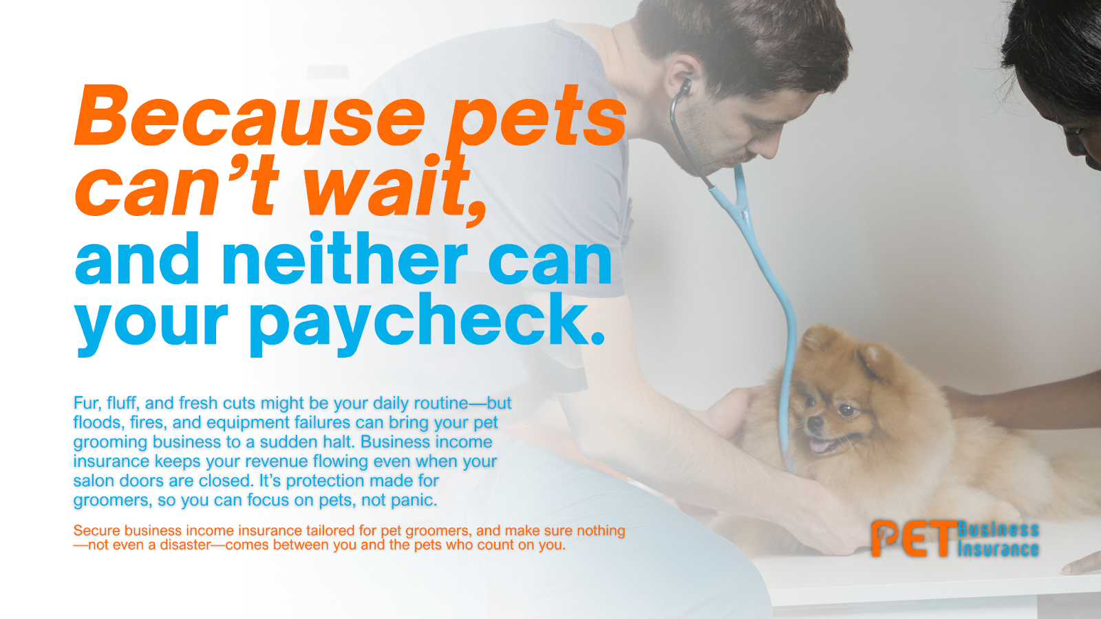 A promotional graphic from PET Business Insurance featuring a veterinarian examining a small fluffy dog with a stethoscope. The headline text reads, "Because pets can’t wait, and neither can your paycheck." Additional text explains the importance of business income insurance for pet groomers, highlighting protection against floods, fires, and equipment failure.