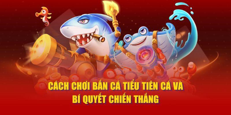 Bí quyết chơi bắn cá tiểu tiên hiệu quả