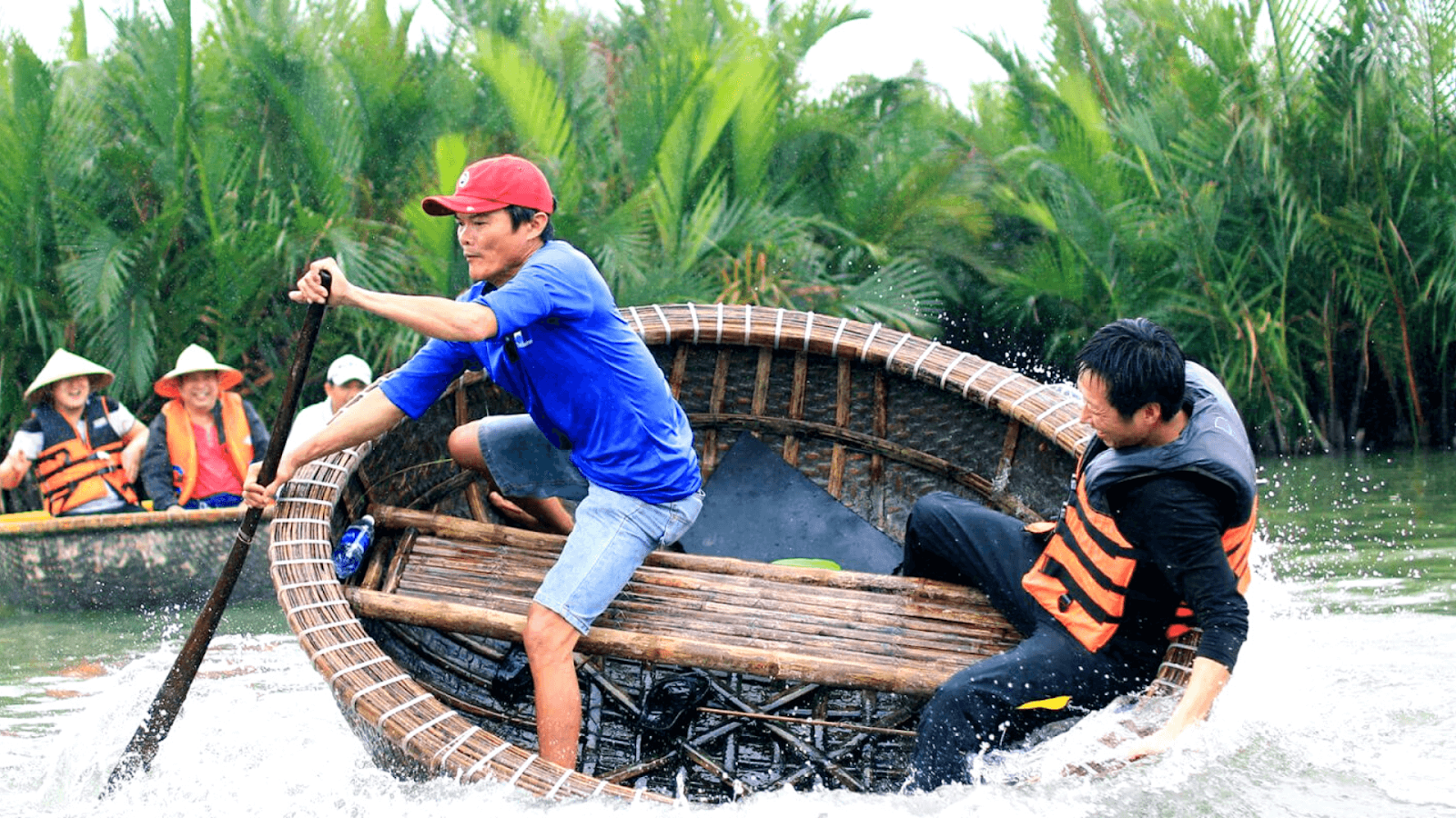 Bay Mau water coconut forest