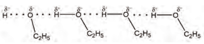 BÀI 11: LIÊN KẾT HYDROGEN VÀ TƯƠNG TÁC VAN DER WAALS