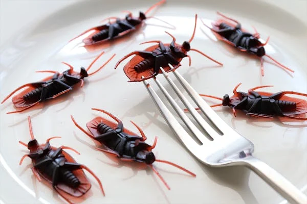 Health Risks Associated with Cockroach Infestations