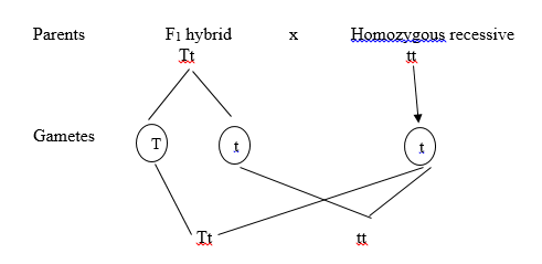 NCERT Solutions For Class 12 Biology Chapter 5-3