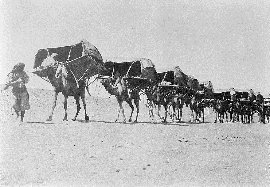 Circa. 1910: A desert guide leading a caravan of pilgrims and camels to Mecca. Source: US Library of Congress / G. Eric and Edith Matson Photograph Collection. 