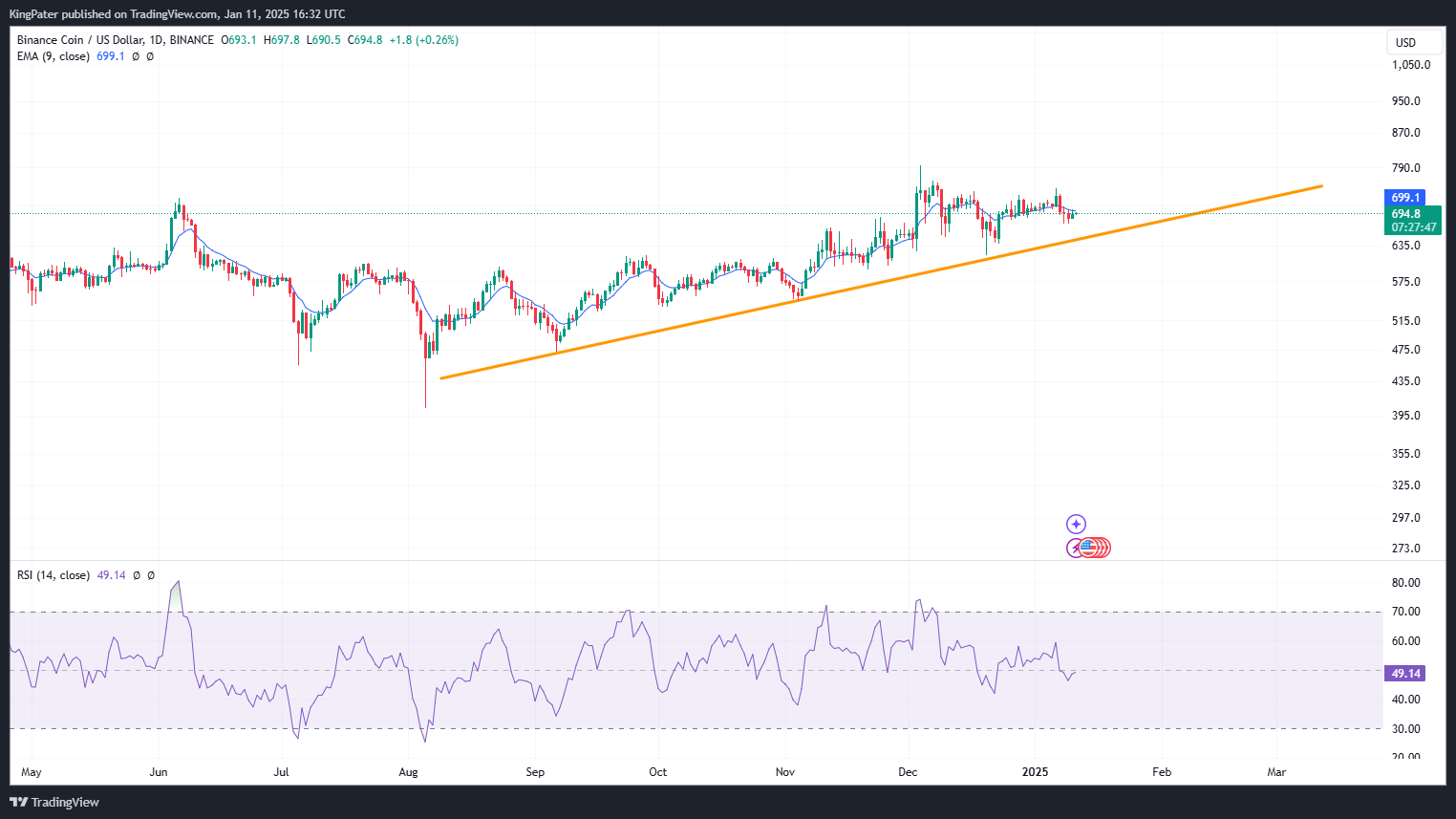 BNB/USDT daily chart jan 12 2025. Source: TradingView