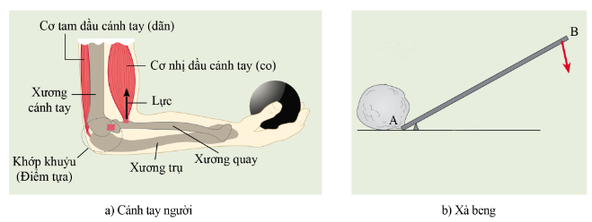 BÀI 19 - ĐÒN BẨY