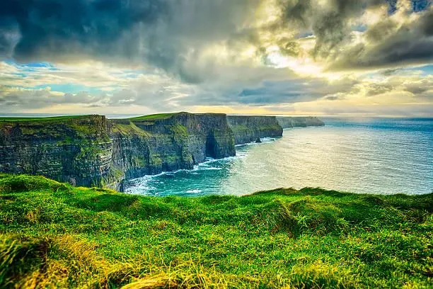 Discover Nature