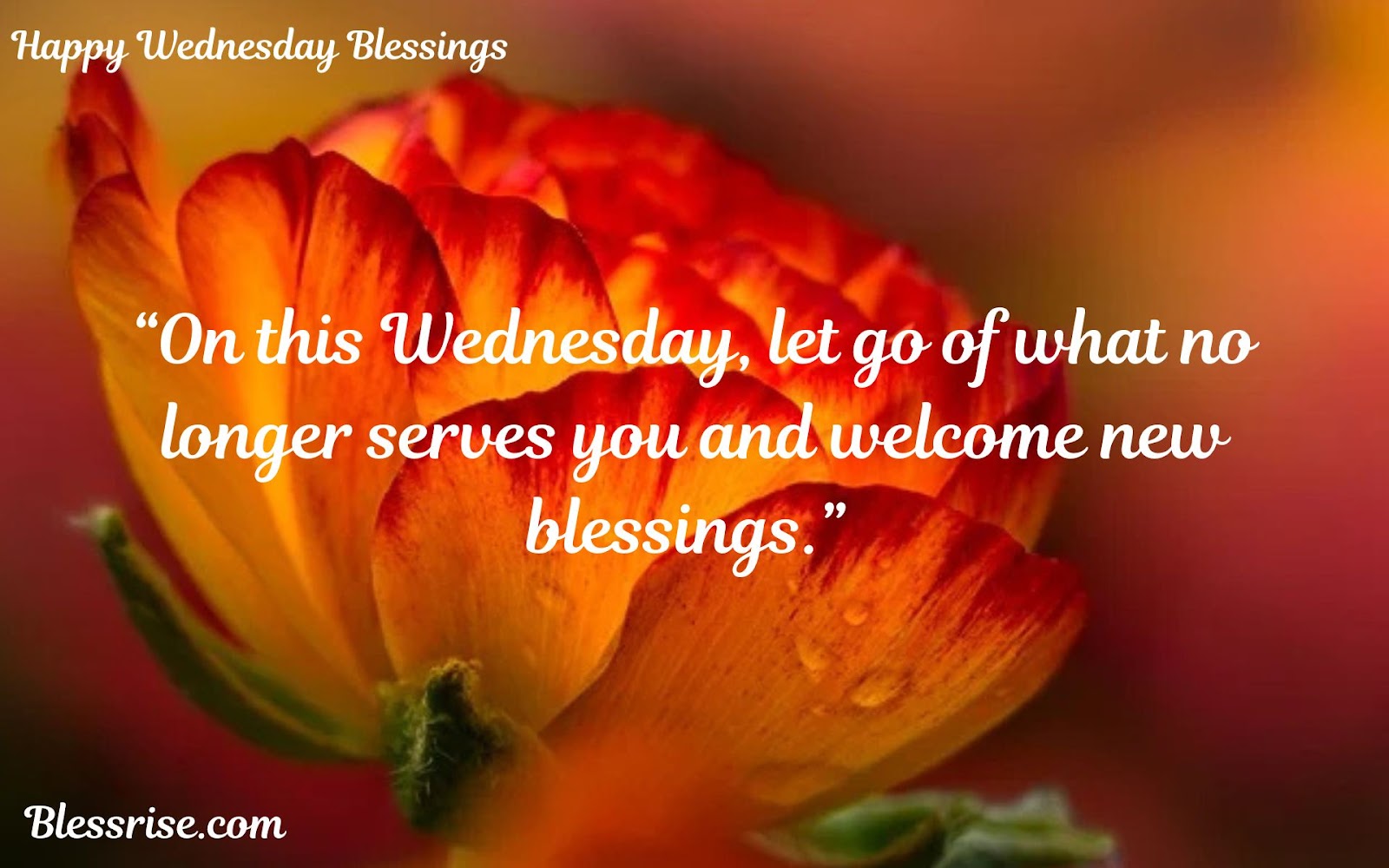 Midweek Blessings
