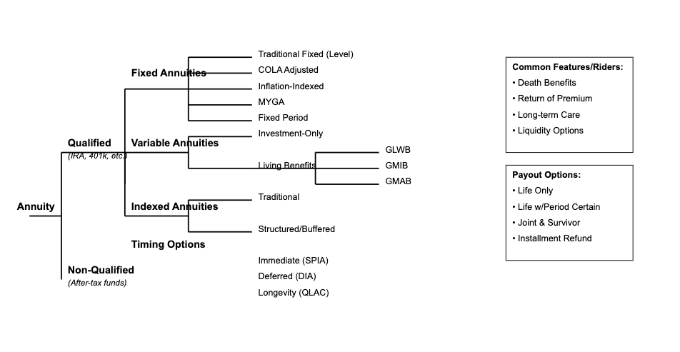 Some of the major annuity families and species