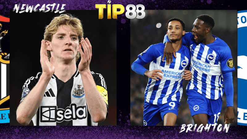 Lịch sử đối đầu Brighton vs Newcastle