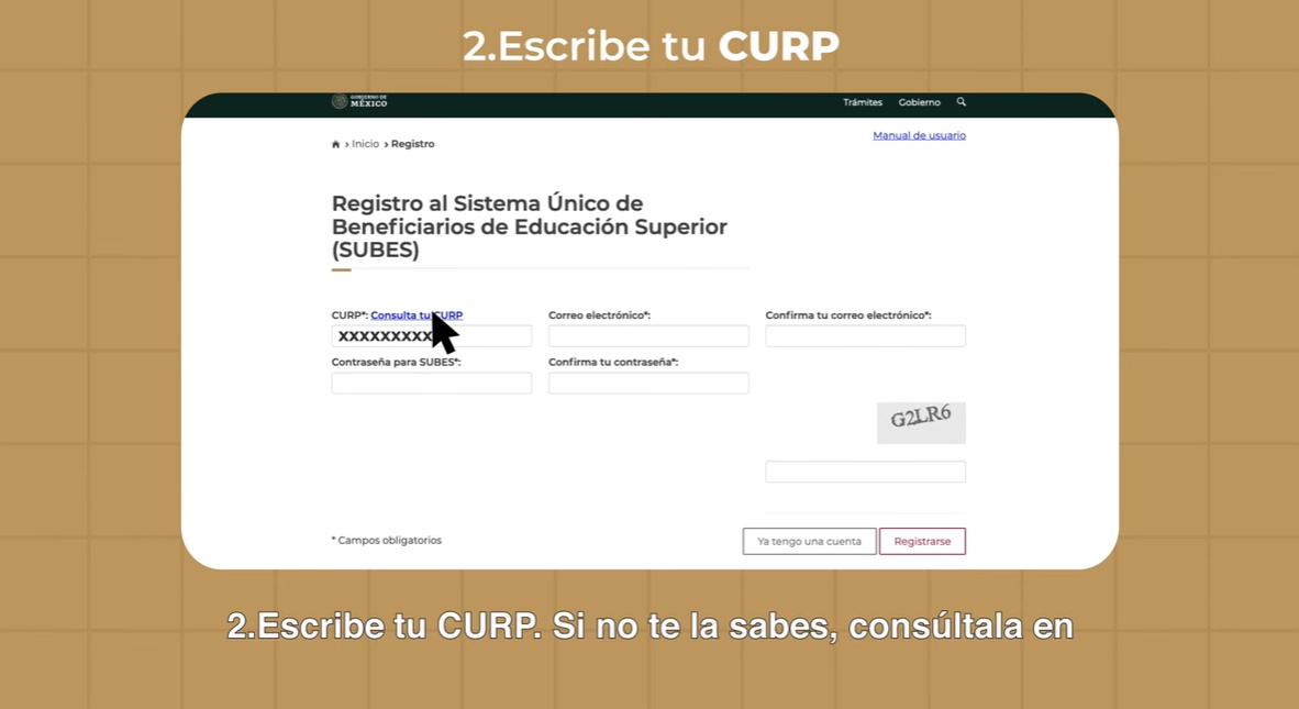 Escribe tu curp