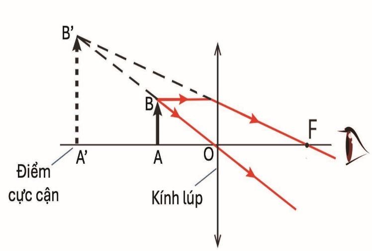 BÀI 10. KÍNH LÚP. BÀI TẬP THẤU KÍNH