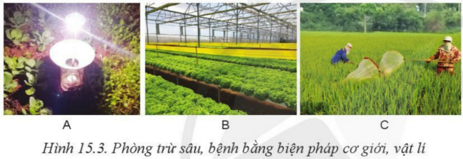 BÀI 15: BIỆN PHÁP PHÒNG, TRỪ SÂU, BỆNH HẠI CÂY TRỒNG