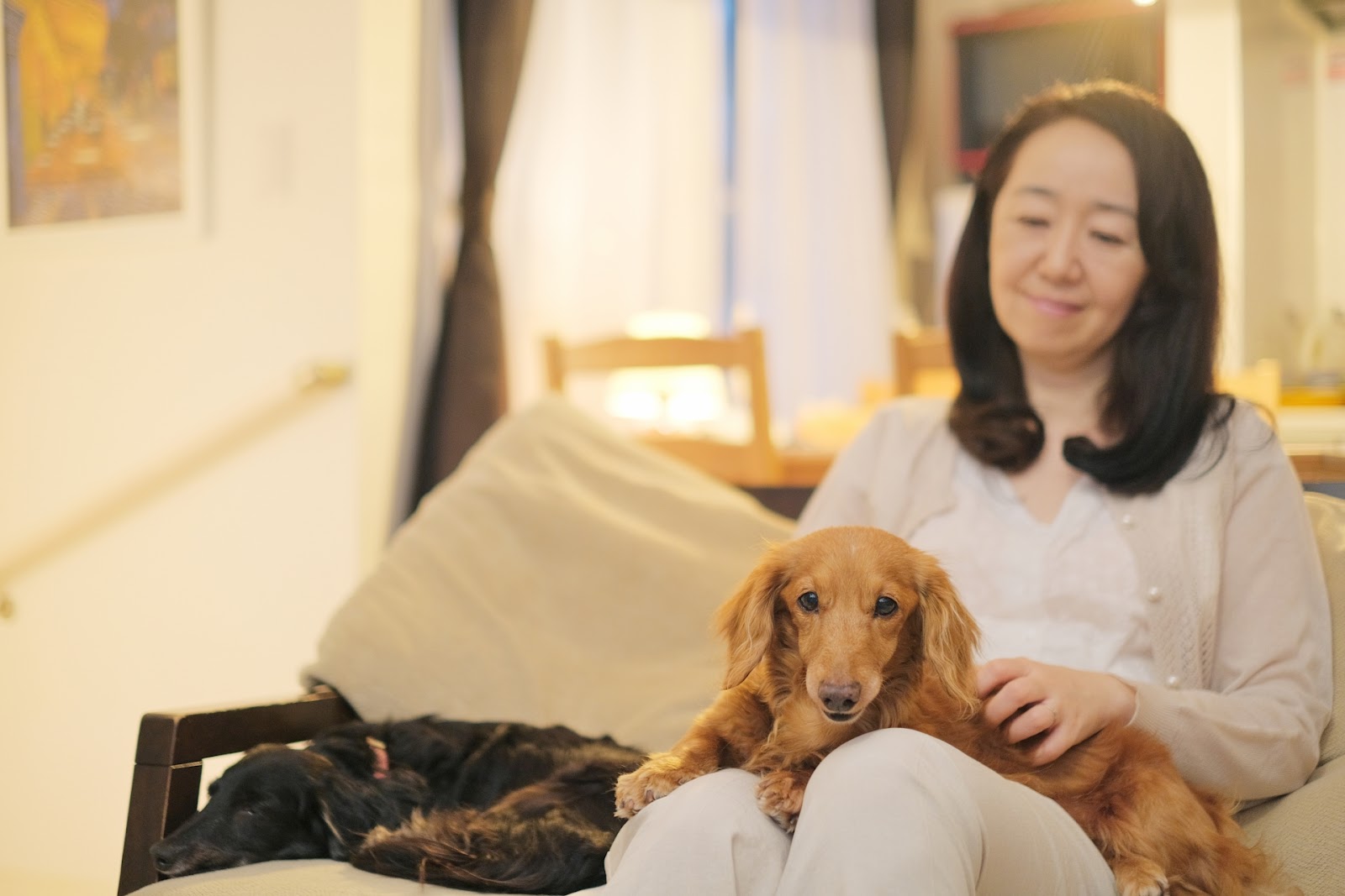 ソファで犬とくつろぐ女性