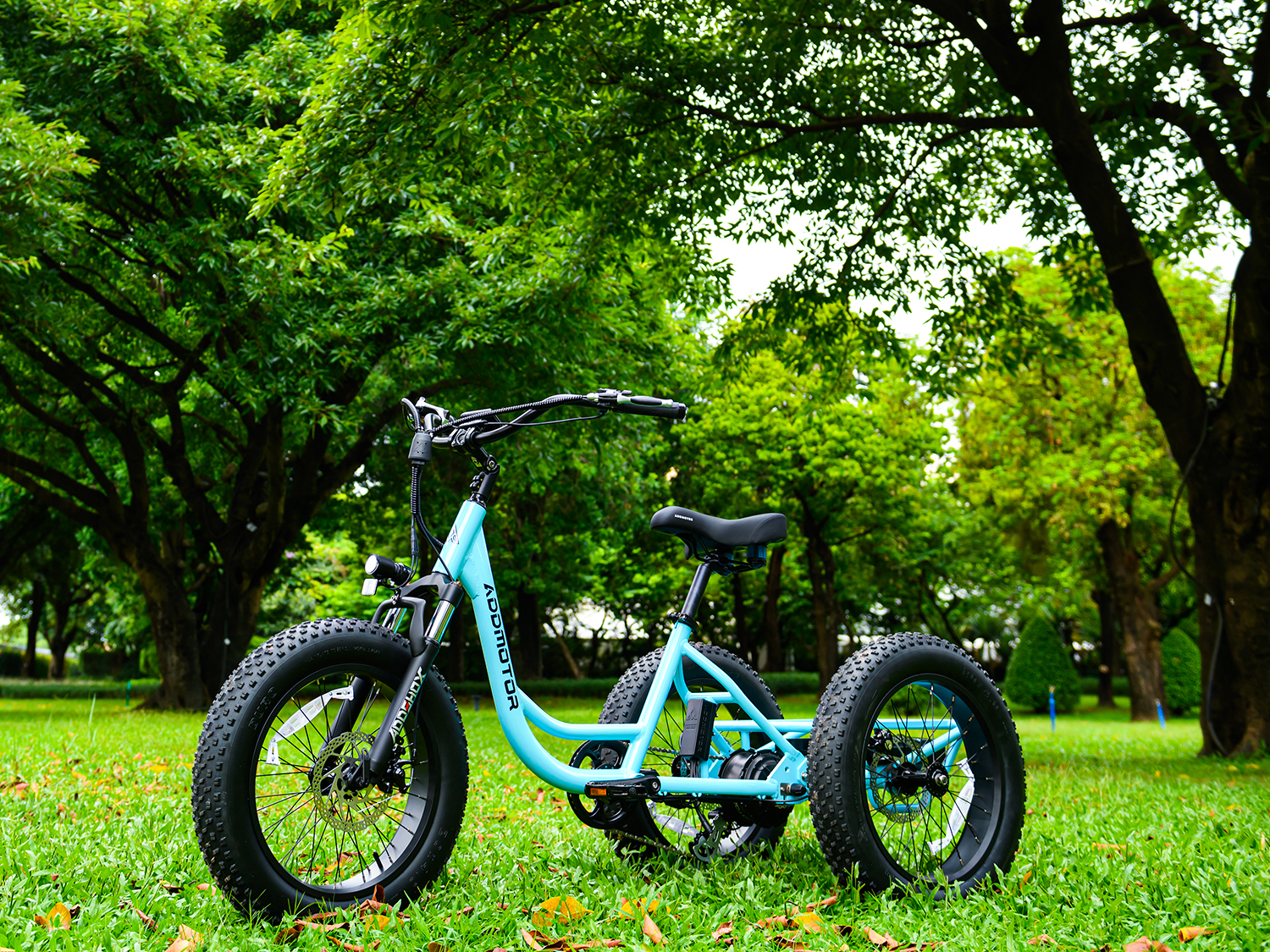 Pocket-Friendly Power: Addmotor LANDTAN Electric Trike Unleashed
