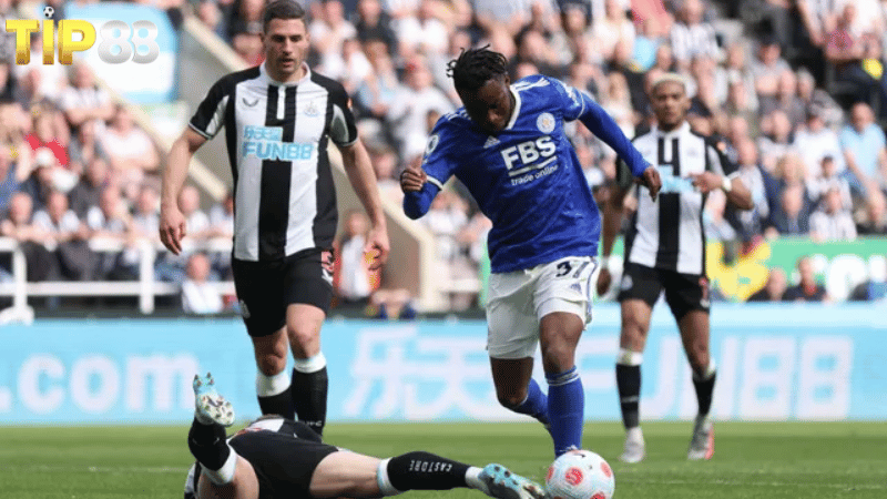 Lịch sử đối đầu Leicester City vs Newcastle