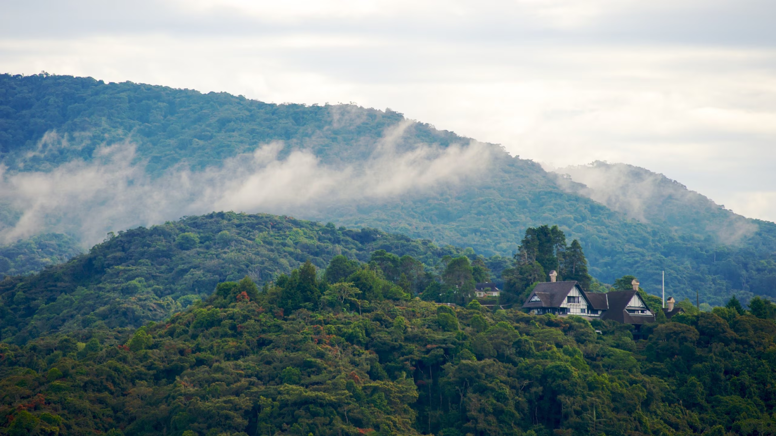 Scenic Routes to Explore with WAHDAH in Pahang