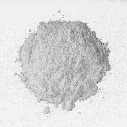 Bệnh nứt thân, xì mủ: Nguyên nhân, triệu chứng & cách phòng trị