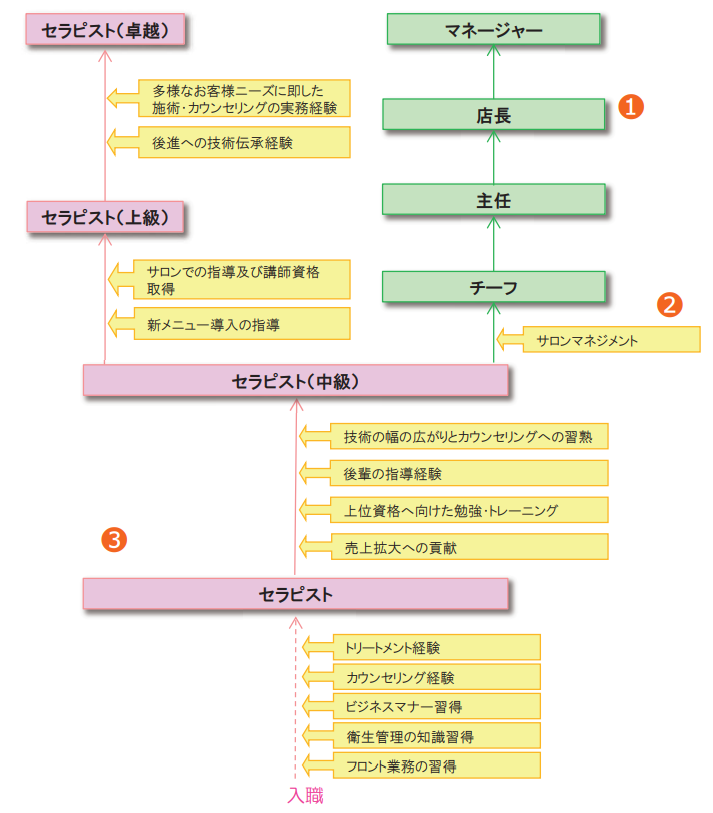 キャリアパスの例